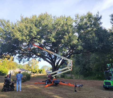 Tree Removal Winter Haven | Tree Removal Winter Haven FL | Tree Removal ...